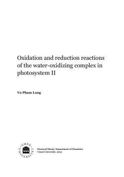 Oxidation and reduction reactions of the water-oxidizing