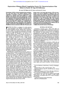 Expression of Human Blood Coagulation Factor XI
