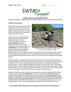 Herpetafuana _Teacher Copy