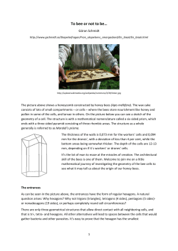 To bee or not to be&hellip; - G&ouml;ran Schmidts hemsida