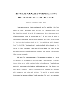 HISTORICAL PERSPECTIVE ON MEADE`S ACTIONS FOLLOWING