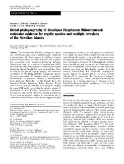 Global phylogeography of Cassiopea