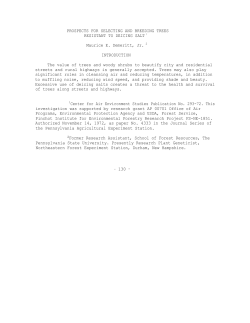 Prospects for Selecting and Breeding Trees Resistant to Deicing Salt