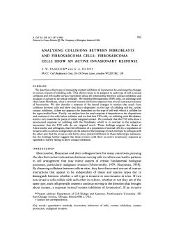 ANALYSING COLLISIONS BETWEEN FIBROBLASTS AND