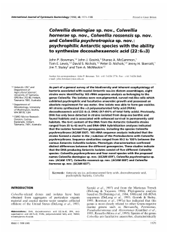 Colwellia demingiae sp. nov., Colwellia hornerae sp. nov., Colwellia