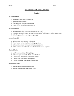 Chapter 3 Homework Questions PDF