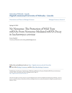 No Nonsense: The Protection of Wild