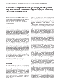 Molecular investigation reveals epi/endophytic extrageneric kelp
