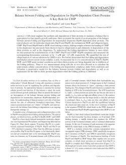 Balance between Folding and Degradation for Hsp90