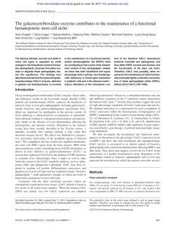 The galactocerebrosidase enzyme contributes to the maintenance of
