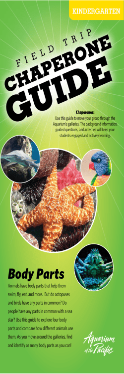 Kindergarden Chaperone Guide