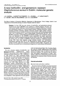 A new methicillin- and gentamicin-resistant Staphy/ococcus aureus