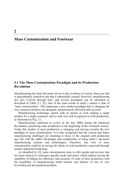 2 Mass Customization and Footwear