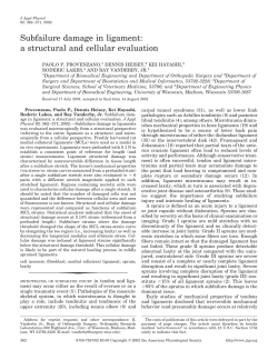 Subfailure damage in ligament: a structural and