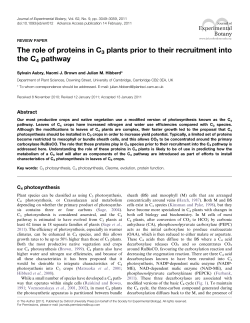 The role of proteins in C3 plants prior to their