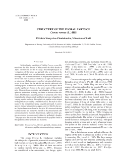 STRUCTURE OF THE FLORAL PARTS OF Crocus vernus (L.) Hill