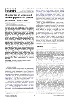 Distribution of unique red feather pigments in parrots