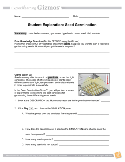 Gizmo Seed Germination