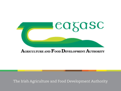 Irish Agriculture in the context of the recession