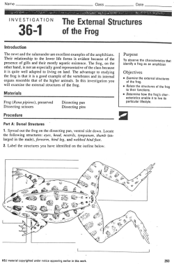 The External Structures of the Frog