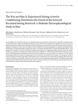 The Way an Odor Is Experienced during Aversive Conditioning
