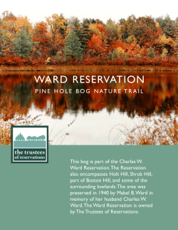 30-minute self-guided walking tour of Pine Hole Bog and Pond