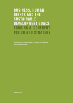 Business, Human Rights and the Sustainable Development Goals