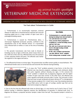 Ten Facts about Trichomoniasis in Cattle