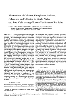 Fluctuations of Calcium, Phosphorus, Sodium, Potassium, and