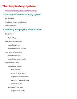 Article 3