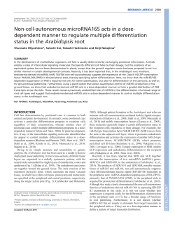 Non-cell-autonomous microRNA165 acts in a dose