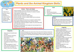 Plants and the Animal Kingdom Skills