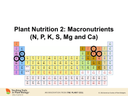 Plant Nutrition 2