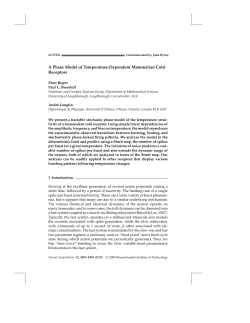 A phase model of temperature-dependent mammalian cold receptors