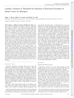 Laminar Variation in Threshold for Detection of Electrical Excitation