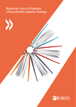 How to Elaborate a Procurement Capacity Strategy