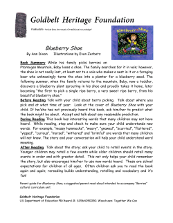 Blueberry Shoe - Goldbelt Heritage Foundation