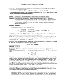 Answers Example Equilibrium Problems #1