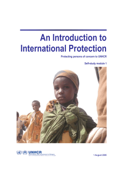 An Introduction to International Protection