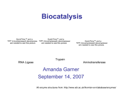 Biocatalysis