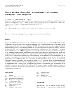 Meiotic behaviour of individual chromosomes of Festuca pratensis in