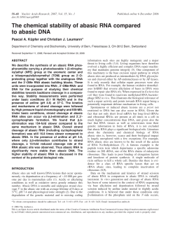 The chemical stability of abasic RNA compared to abasic DNA