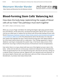 Blood-Forming Stem Cells` Balancing Act