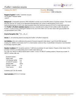 PvuRts1 I restriction enzyme