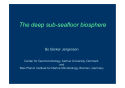 The deep sub seafloor biosphere The deep sub