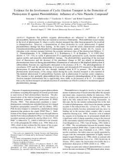 Evidence for the Involvement of Cyclic Electron Transport in the