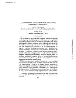 A COMPARATIVE STUDY OF SMOOTH AND ROUGH