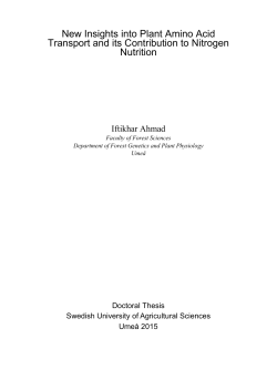 New Insights into Plant Amino Acid Transport and its Contribution to