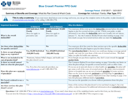Blue Cross® Premier PPO Gold - bcbsm.com