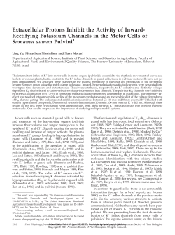 Extracellular Protons Inhibit the Activity of Inward